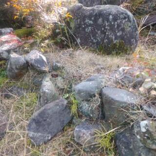 庭石　引取お願いします。の画像