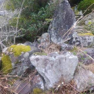 庭石　引取お願いします。