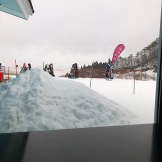 いい雪が積もってるようです。