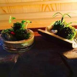 奈良 古民家 苔玉作り体験 JINYA