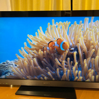 SONY BRAVIAのテレビ　40V型