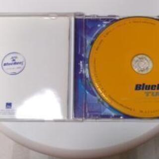 ソニーレコード・TUBE CDアルバム Blue Reefの画像
