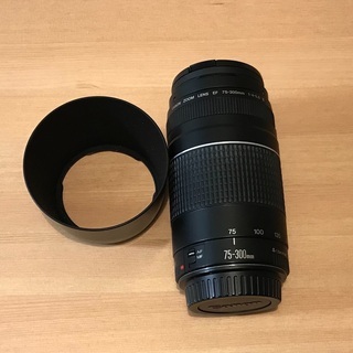 キヤノンEF-S 18-135mm f3.5-5.6 IS Kenko カメラの中古が安い！激安で譲ります・無料であげます(16