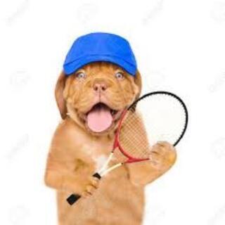 2/13【社会人＆学生(一部)向け❗】テニス会イベント開催のお知らせ🎾