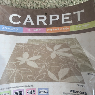 新品　カーペット　ホットカーペット　パキラ模様の画像
