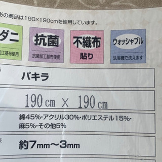 新品　カーペット　ホットカーペット　パキラ模様の画像