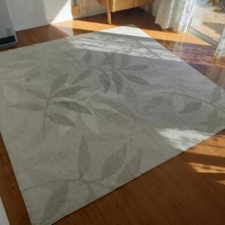ラグ225cm×225cm 使用期間1年