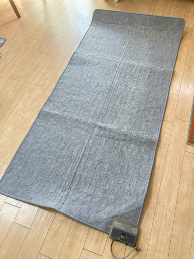 1条 稼働確認済み ホットカーペット