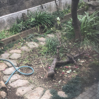 庭石