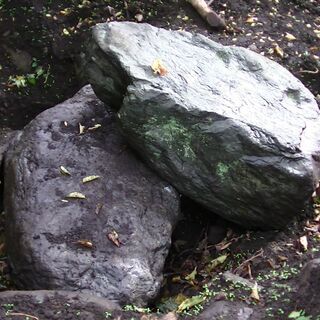 庭石差し上げます。
