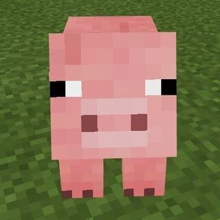 マイクラ(Java)を一緒に遊んでくれる方募集！