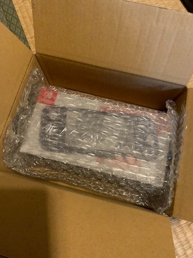 Switch ライト　グレー