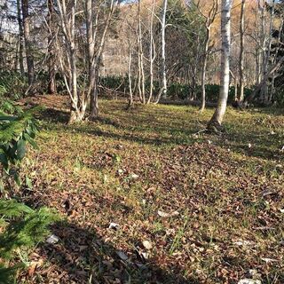 【プライベートキャンプ場にいかがですか？】ニセコ近く貸土地 約3...