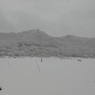 キャンプ一緒に始めませんか？