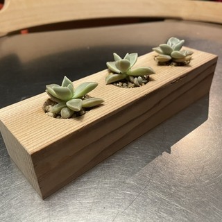 すぎ　杉　角材　15本　1000円　約53角　長さ700ミリ前後　DIY　の画像