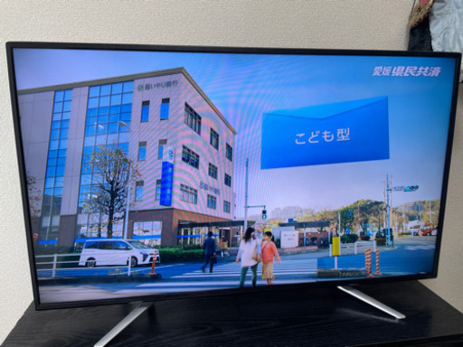 44インチ テレビ (決まりました)