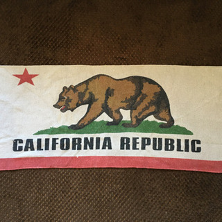 CALIFORNIA REPUBLIC ラグ