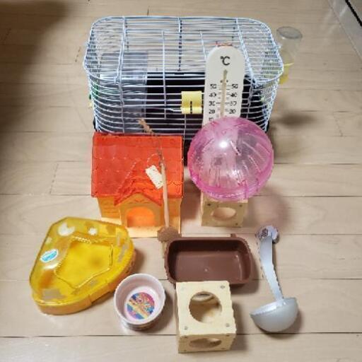 ハムスターはじめて飼育セット一式