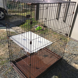 猫ゲージ