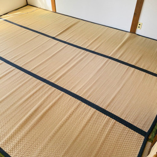 い草 ラグ 江戸間6畳 261×352cm と団地間4.5畳