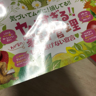 (11月29日までの掲載)LDK 2020 5月号(付録なし)の画像