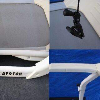 ALINCO アルインコ 電動ウォーカー AF9100 FITNESS PRO ルームランナー　マット付きの画像