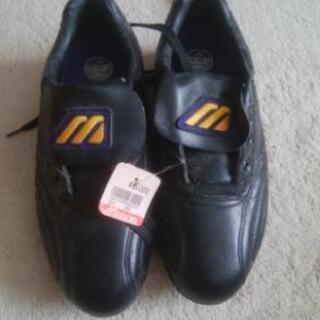 MIZUNO 野球用スパイク　25㎝