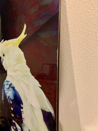 CAPITA  BIRDS OF A FEATHER