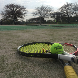 平日の朝にシングルスできる方を募集中🎾 次回5/24