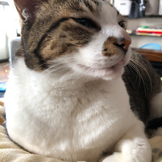 オンライン自習室です。