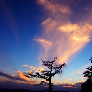 【生徒募集中】実践！写真講座📸の画像
