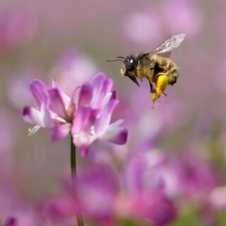 【生徒募集中】実践！写真講座📸の画像