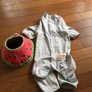 犬猫用　エリザベスカラー、術後服