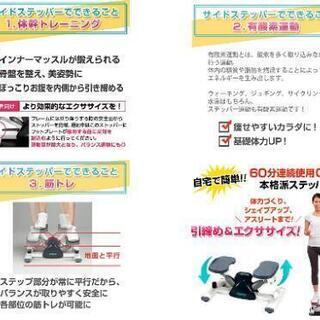 【ステッパー】 エアロライフ サイドステッパー　DR-3865 【健康器具】の画像