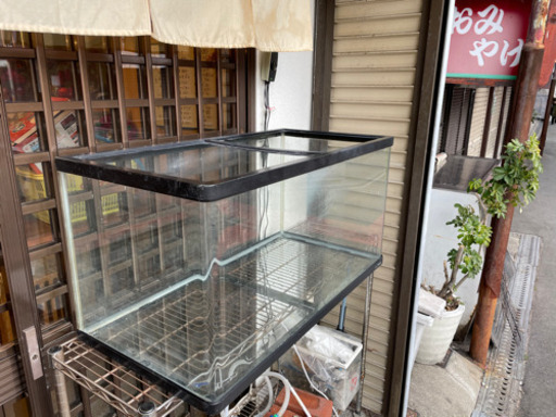 金魚
