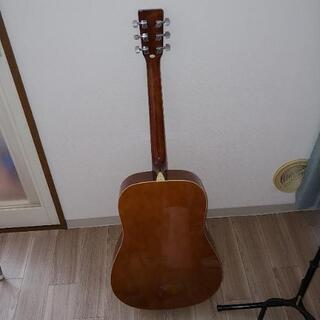 HONEY BEE　アコースティックギターの画像
