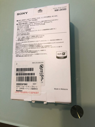 Sony Walkman NW-Z100