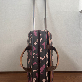 キャリーバッグの画像