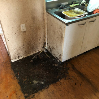 ハウスクリーニング、遺品整理、特殊清掃、承ります！！