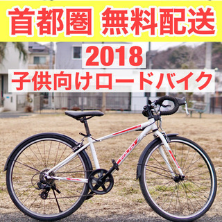 首都圏無料配送?⭐️子供向け⭐ NESTO FALAD 24型 2018 7速 340mm