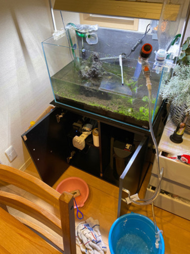 アクアリウム水槽一式(ADA含む)