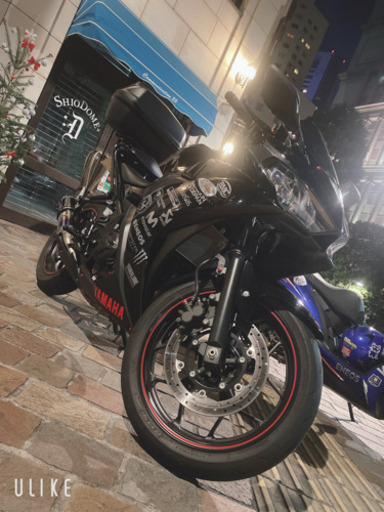 YAMAHA yzf-r25(低走行)
