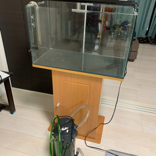 60センチ水槽セット