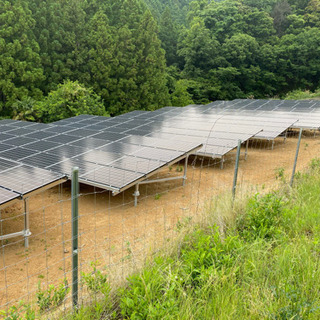 太陽光発電所の管理致します。