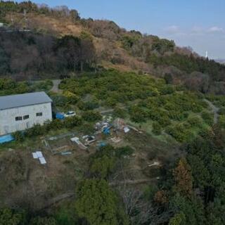 開拓地の整備(果樹園)