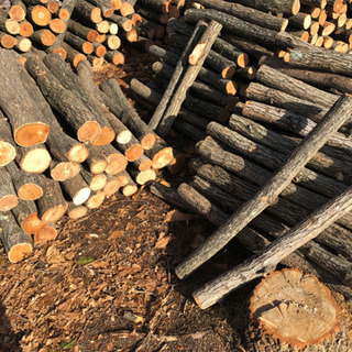 完売御礼☆の画像