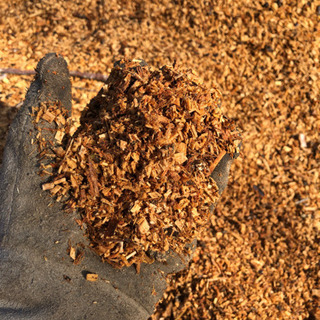 完売御礼☆の画像