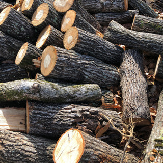 完売御礼☆の画像