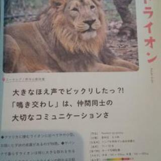 よこはまの動物園案内帖の画像
