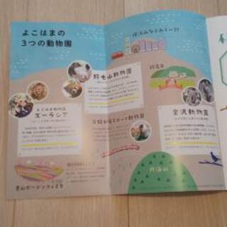 よこはまの動物園案内帖の画像